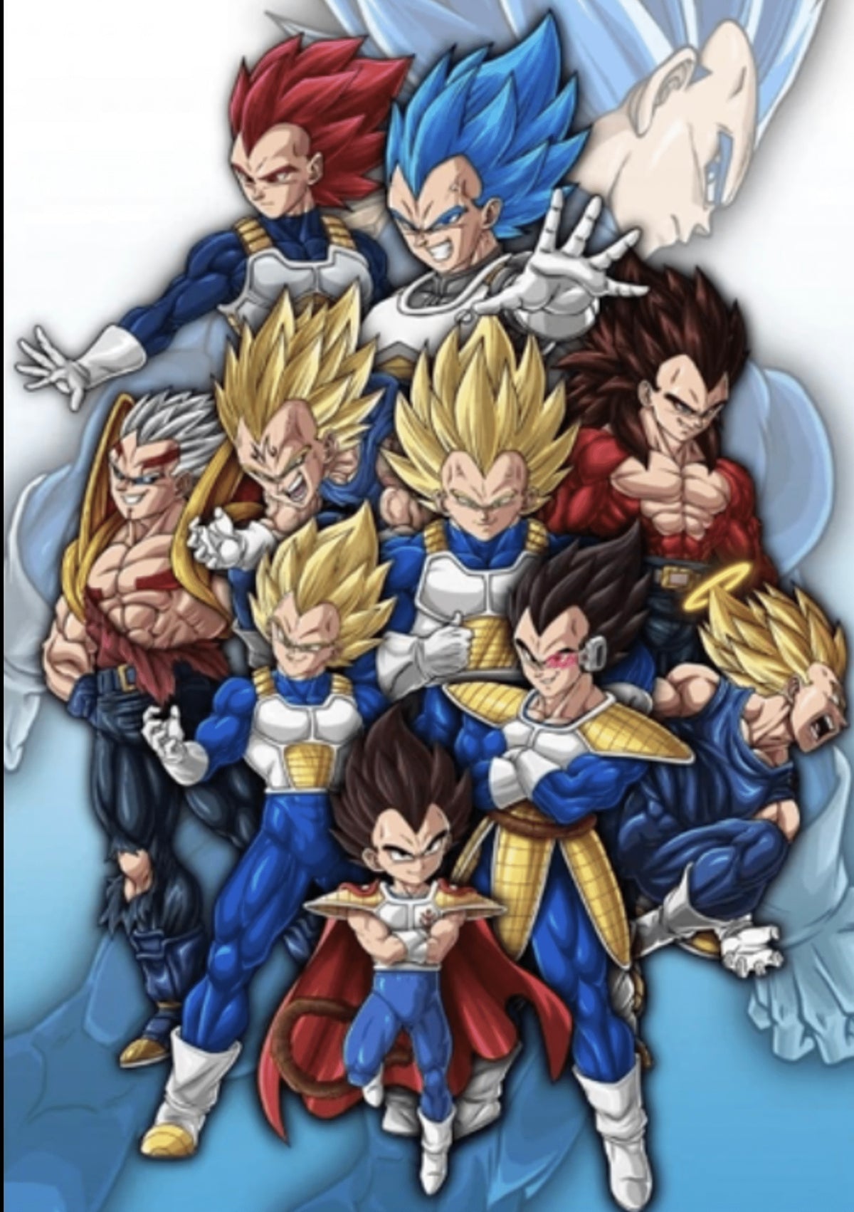 DBZ - Vegeta Art Prints