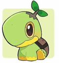 Pokemon Turtwig Keychain